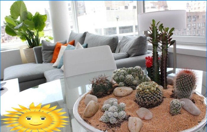 Planter i huset. Fytodesign som en måde at genoplive interiøret