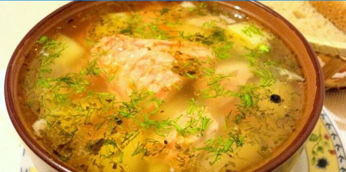 Ørredfiskesuppe med hirse i en tallerken