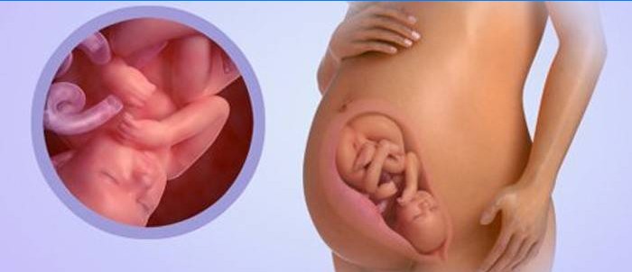 Baby ved 38 uger gravid