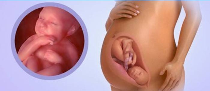 Baby ved 39 uger gravid
