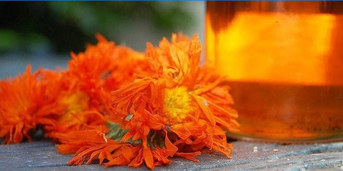 Calendula bouillon