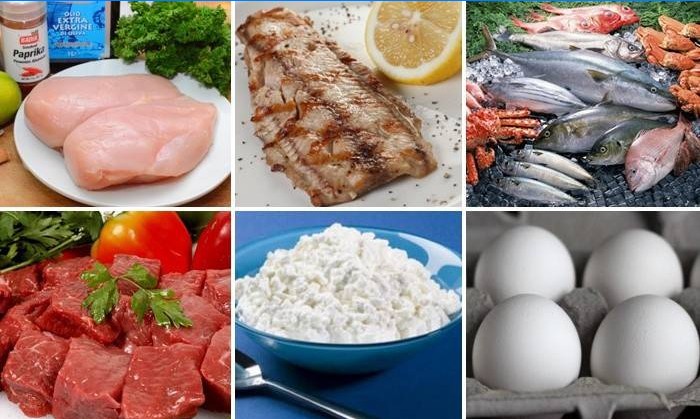 Protein diæt menu