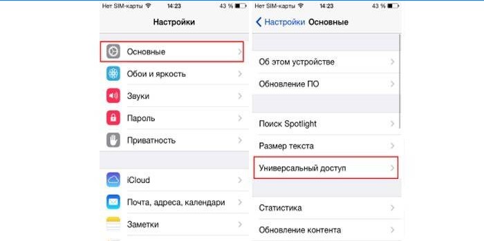 Valg af universel adgang i iPhone-indstillinger