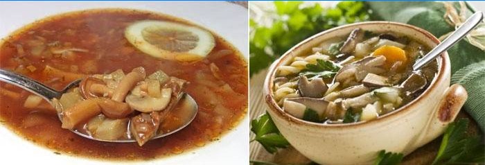 Suppe med svampe - hodgepodge til vegetarer