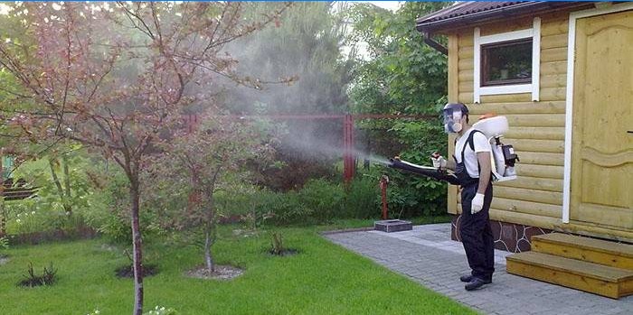 Desinfektion af skadedyr af træer