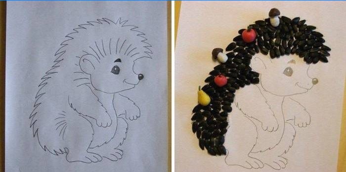 Børns ansøgning Hedgehog