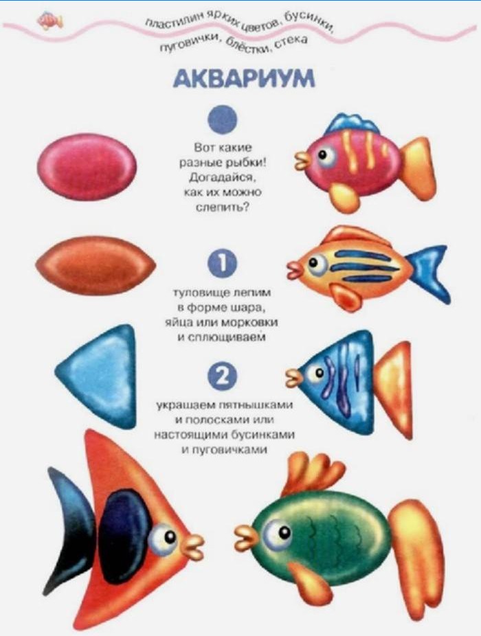 Trin for trin modellering af fisk