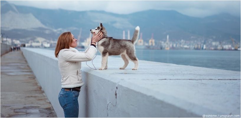 Russisk pige med en hund