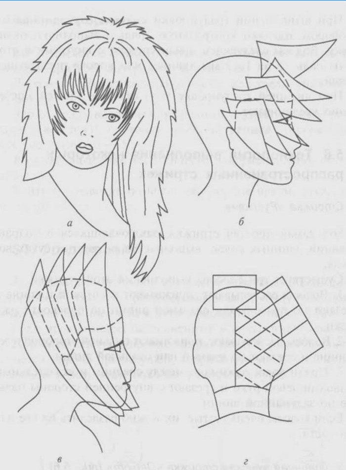 Debut: Haircut Scheme