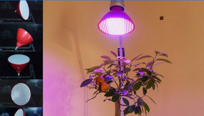 LED phytolamp