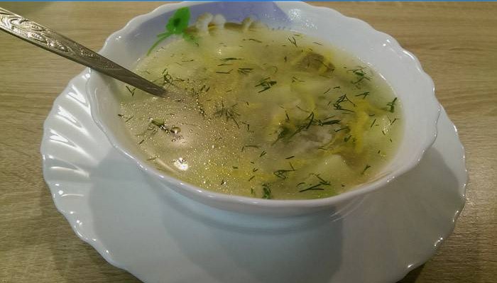Plade med svampesuppe med Vermicelli