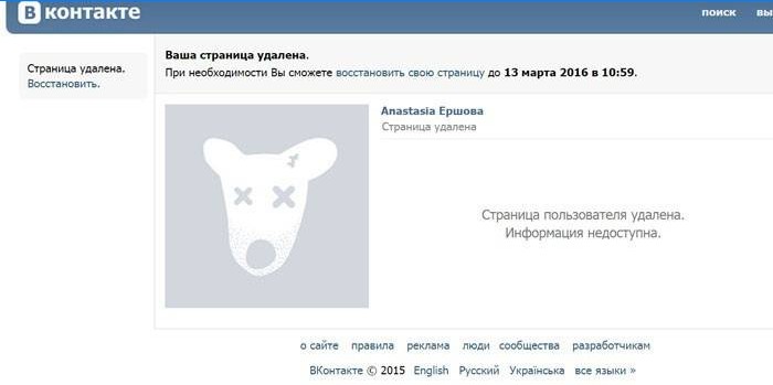 Vkontakte-applikationsvindue