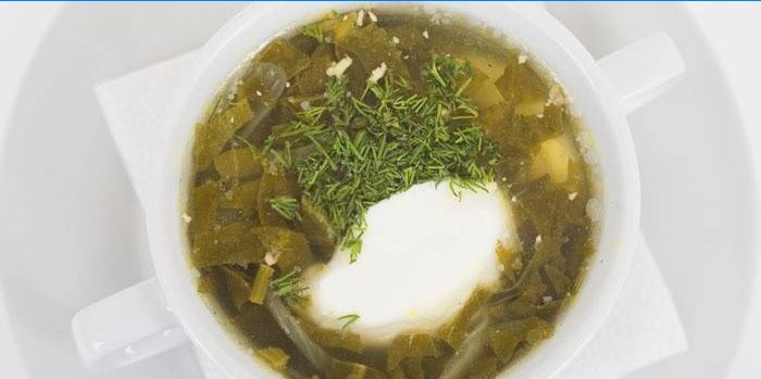 Suppe med sorrel, creme fraiche og friske urter
