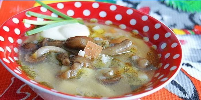 Svampesuppe