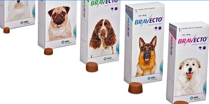 Bravecto tyggelige tabletter