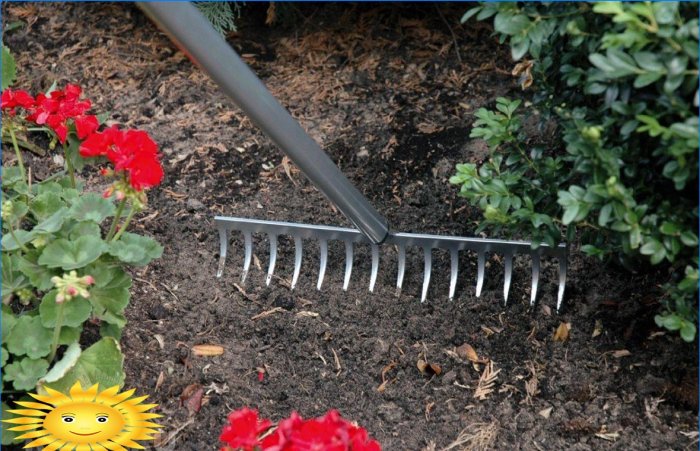 Buet tine have rake