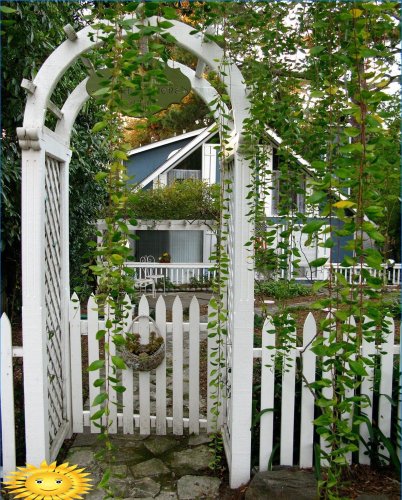 DIY gate: fotos og idéer til dekoration