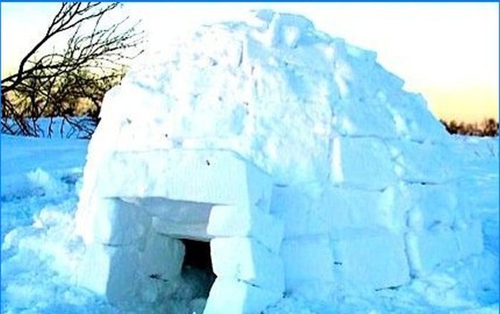 Igloo