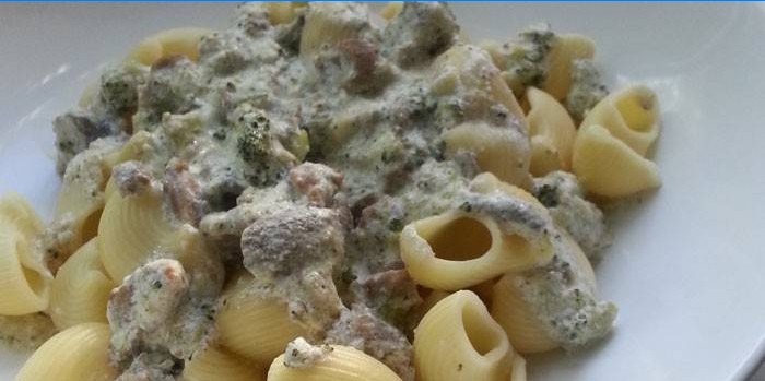 Horn med stuede kalkunskiver i en cremet sauce