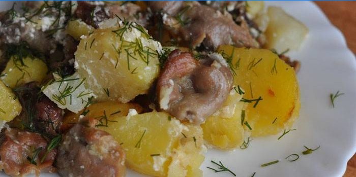 Braised kyllingeventrikler med kartofler på en tallerken