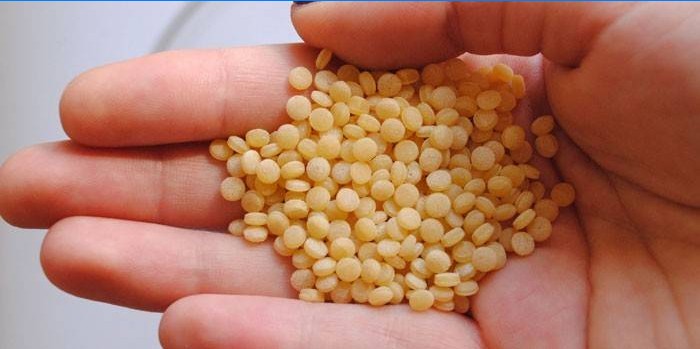 Croup couscous