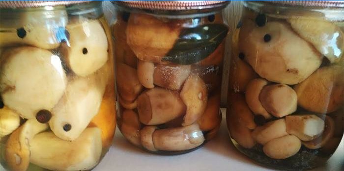 Pickled porcini svampe i krukker