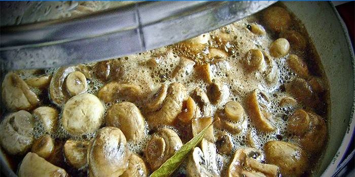 Champignons i en marinade med hvidløg og peber i en gryde