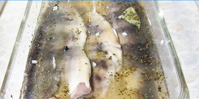 Krop af fisk under en hvid marinade