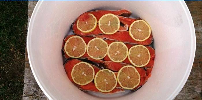 Rød fisk under marinaden med citron