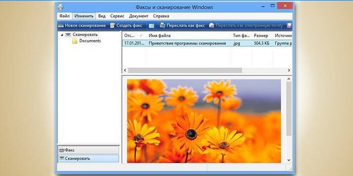 Program til scanning i Windows