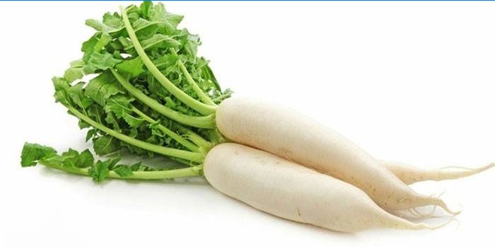 Radish daikon