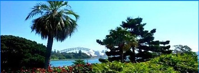 Royal Botanic Gardens Sydney