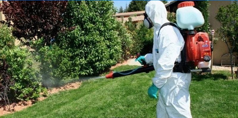 Forholdsregler ved håndtering af pesticider