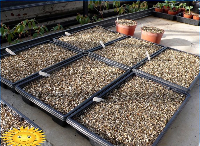 Agrovermiculite til planter