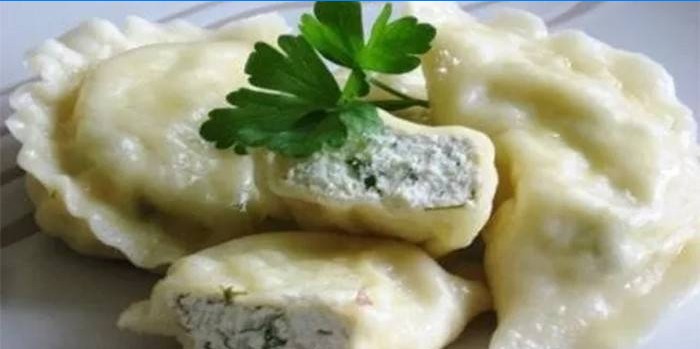 Dumplings med cottage cheese og urter fra vaniljesaus