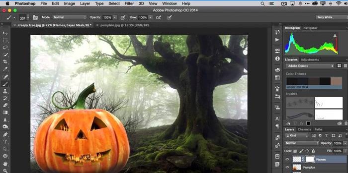 Adobe Photoshop CC-interface