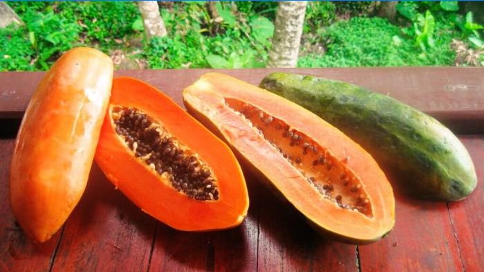 papaya