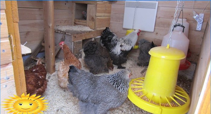 DIY hønsehjul til 10 kyllinger