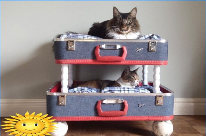 DIY-huse og tilbehør til katte: ideer og fotos