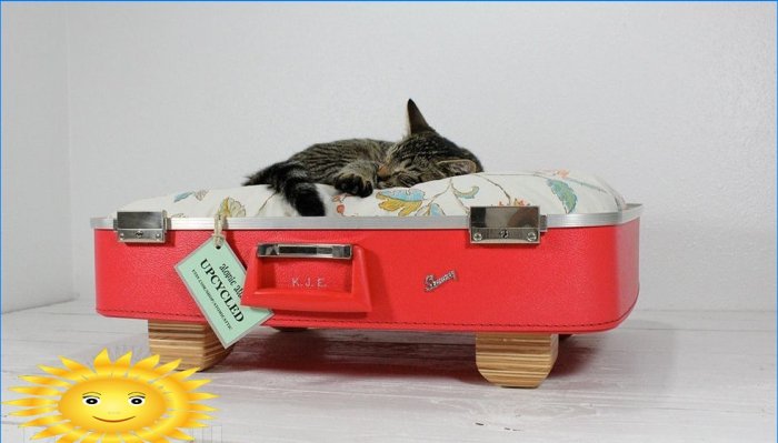 DIY-huse og tilbehør til katte: ideer og fotos