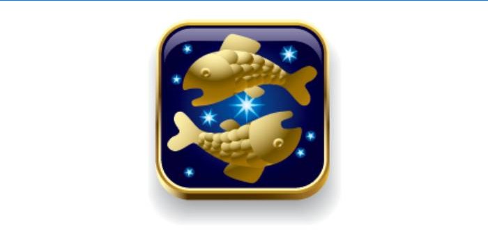 fishes