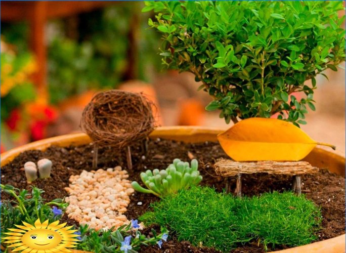 Havedekoration med blomstrende planter i containere og gryder