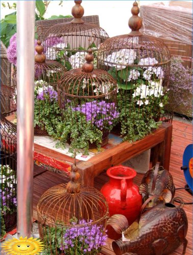 Havedekoration med blomstrende planter i containere og gryder