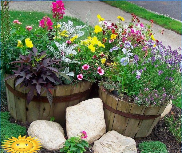 Havedekoration med blomstrende planter i containere og gryder