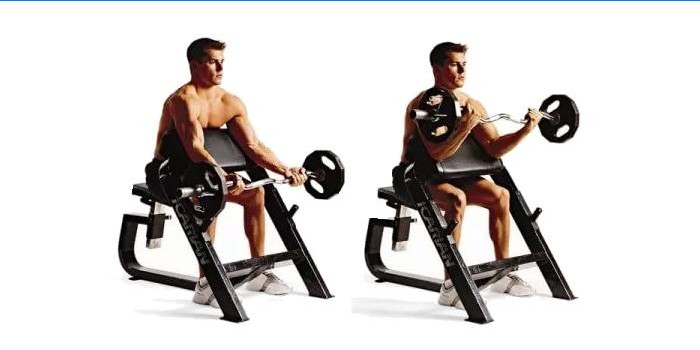 Scott's Bench