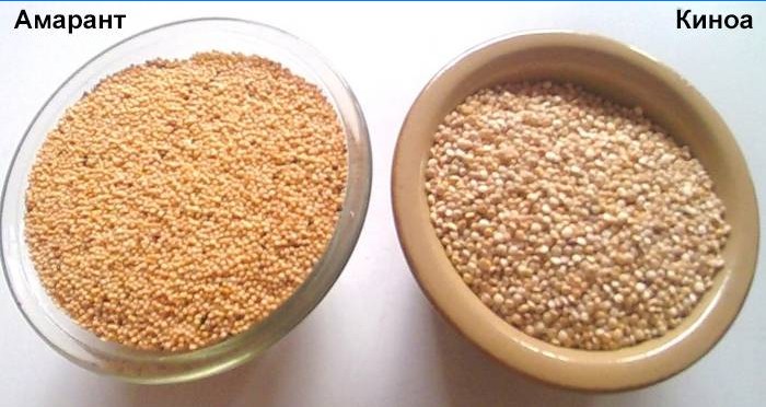Quinoa og Amaranth