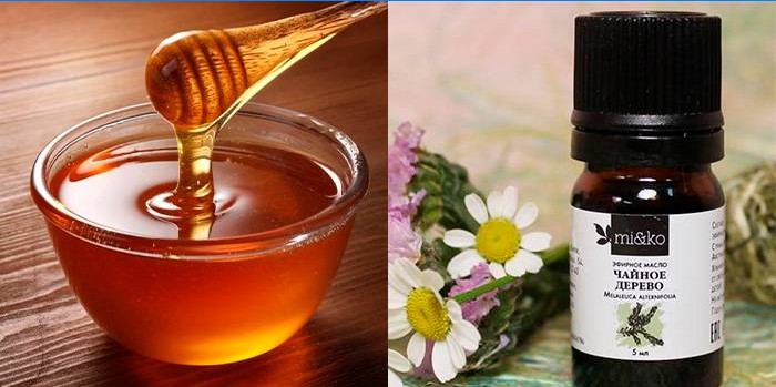 Tea tree honning og olie