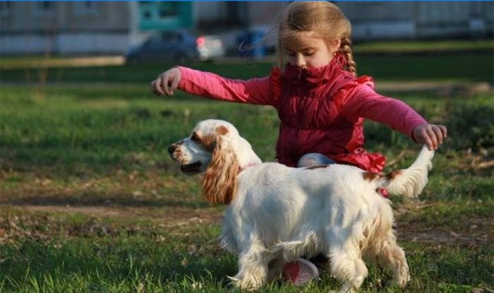 Pige leger med en hund