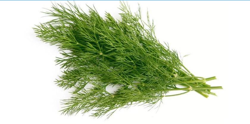 Dill grene