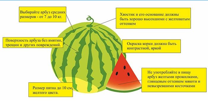 Sådan vælger du en vandmelon